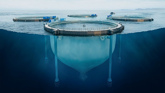 Vårt flaggskip - Protectus