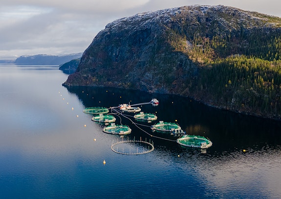 Lukkede anlegg på oppdrettslokalitet