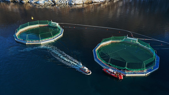 Lukkede anlegg på oppdrettslokalitet