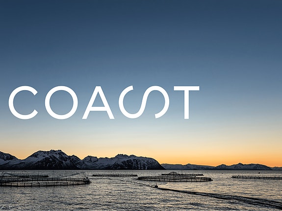 Bilde 2 av 2 i jobbannonse-galleriet