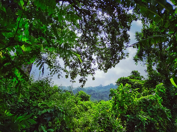 Bilde 1 av 1 i jobbannonse-galleriet