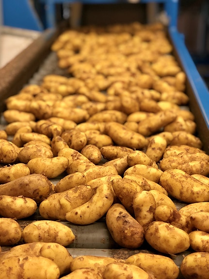 Bilde 1 av 3 i jobbannonse-galleriet