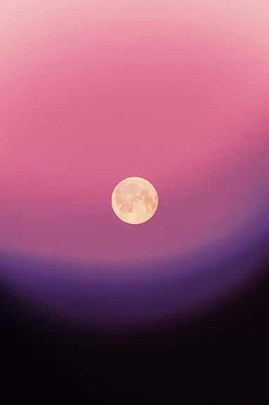 Bilde 2 av 2 i jobbannonse-galleriet