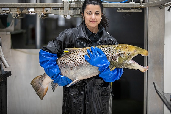 Bilde 5 av 5 i jobbannonse-galleriet