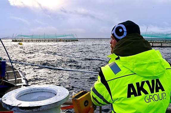 Bilde 1 av 1 i jobbannonse-galleriet