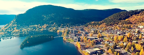 Bilde 1 av 1 i jobbannonse-galleriet