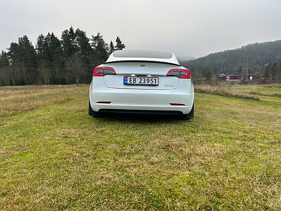 Tesla Model 3 5 of 24