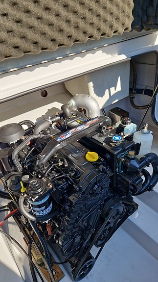 Askeladden 645 Beetle Topline. 12 of 29