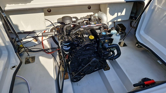 Askeladden 645 Beetle Topline. 10 of 29