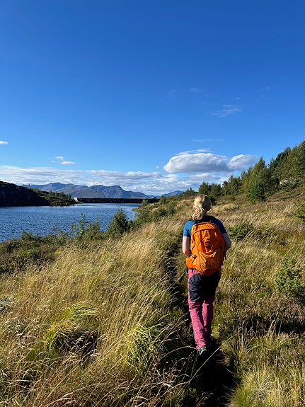 Bilde 1 av 1 i jobbannonse-galleriet