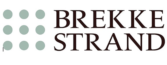 Brekke & Strand Akustikk AS logo