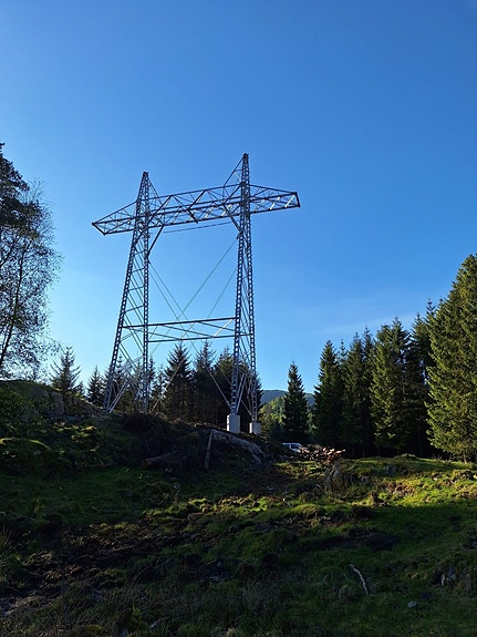 Bilde 1 av 1 i jobbannonse-galleriet