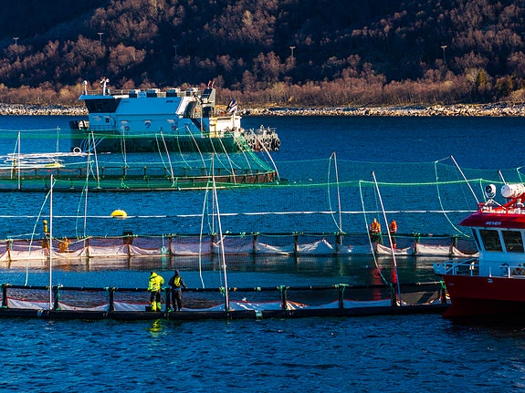 Foto: Moloen media AS