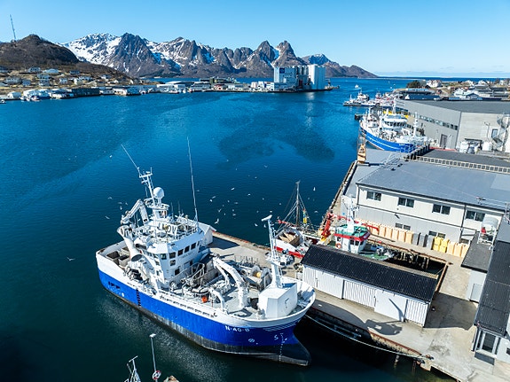 Foto: Moloen media AS