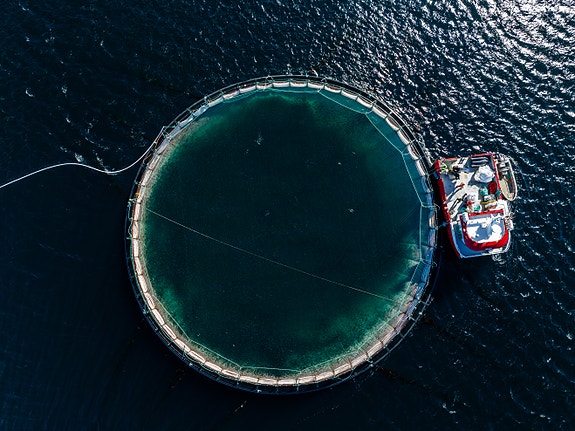 Foto: Moloen media AS