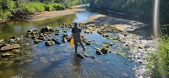 Bilde 3 av 3 i jobbannonse-galleriet