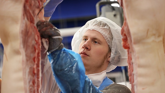 Bilde 2 av 4 i jobbannonse-galleriet