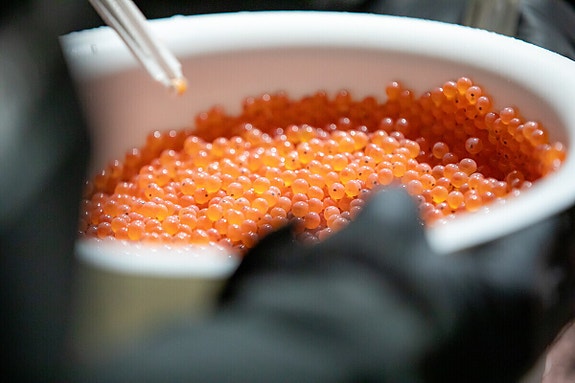 Bilde 6 av 8 i jobbannonse-galleriet