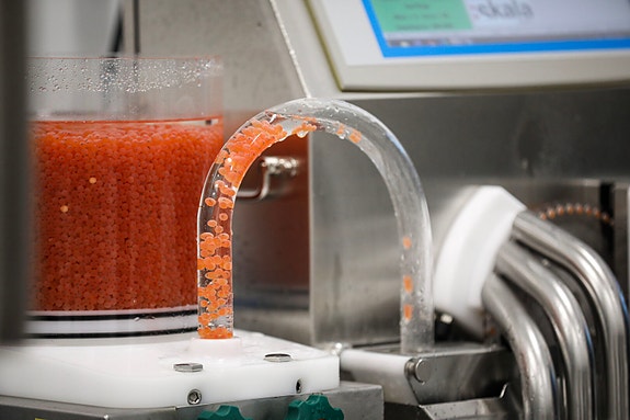 Bilde 5 av 8 i jobbannonse-galleriet