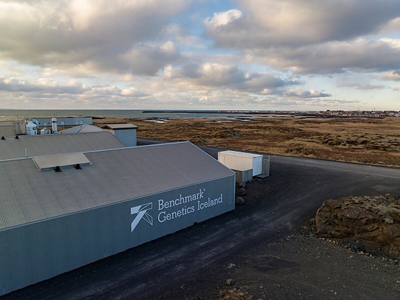 Bilde 3 av 8 i jobbannonse-galleriet