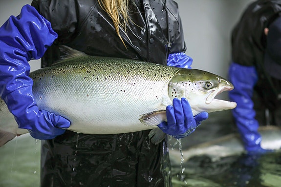 Bilde 7 av 8 i jobbannonse-galleriet