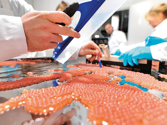 Bilde 8 av 8 i jobbannonse-galleriet