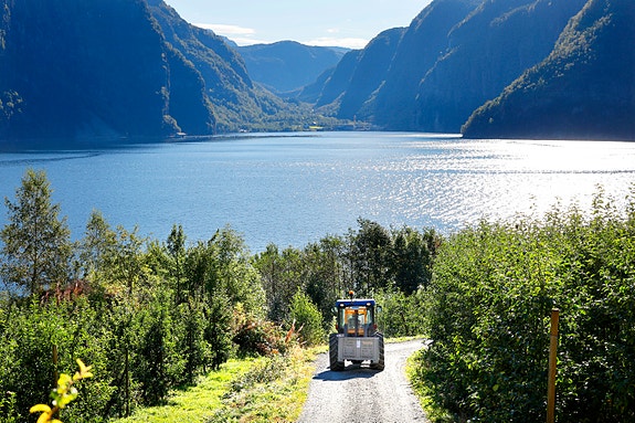 Bilde 2 av 3 i jobbannonse-galleriet