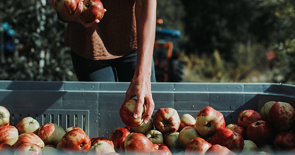 Bilde 3 av 3 i jobbannonse-galleriet