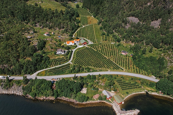 Bilde 1 av 3 i jobbannonse-galleriet