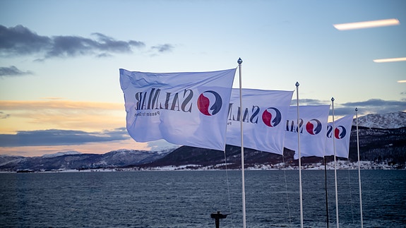 Bilde 4 av 5 i jobbannonse-galleriet