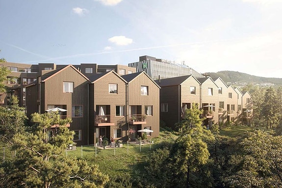 Bilde 2 av 4 i jobbannonse-galleriet