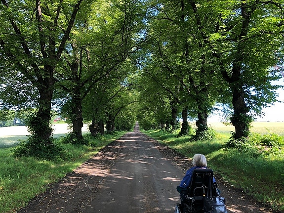 Bilde 1 av 1 i jobbannonse-galleriet