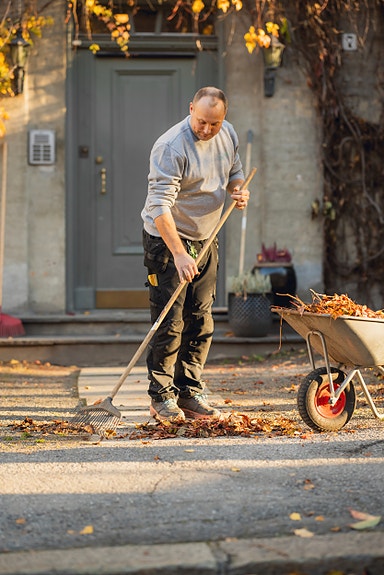 Bilde 1 av 2 i jobbannonse-galleriet