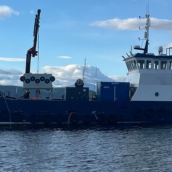 Bilde 4 av 9 i jobbannonse-galleriet