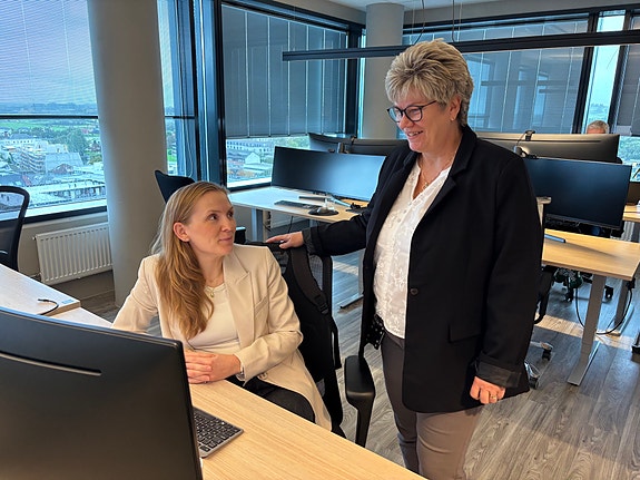 Bilde 1 av 1 i jobbannonse-galleriet