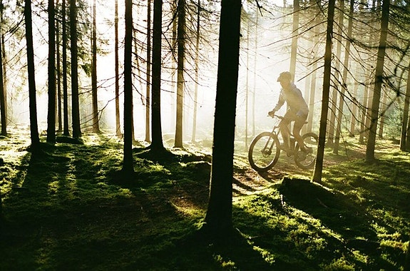 Bilde 2 av 5 i jobbannonse-galleriet