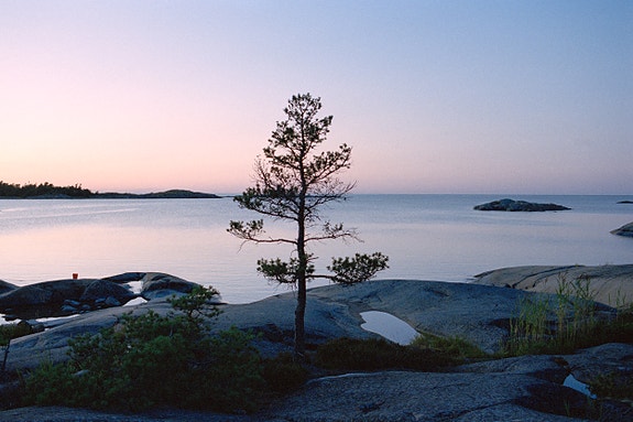 Bilde 1 av 4 i jobbannonse-galleriet