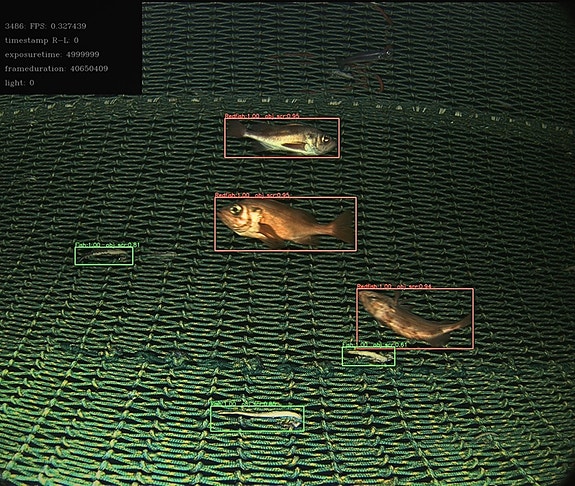 Bilde 3 av 4 i jobbannonse-galleriet