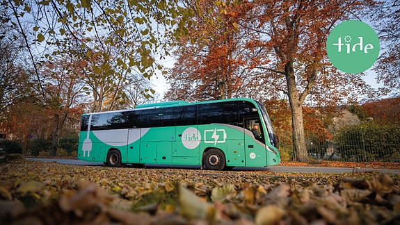 Bilde 1 av 1 i jobbannonse-galleriet