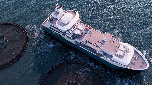 Bilde 3 av 6 i jobbannonse-galleriet