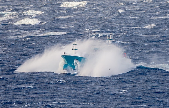 Bilde 5 av 6 i jobbannonse-galleriet