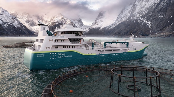 Bilde 2 av 6 i jobbannonse-galleriet