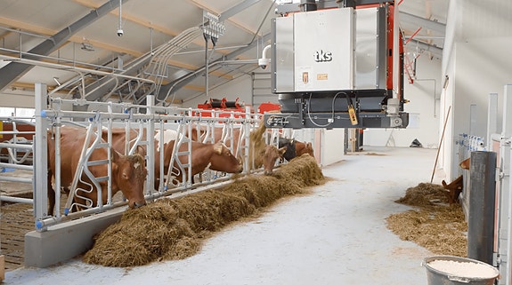 Bilde 4 av 6 i jobbannonse-galleriet