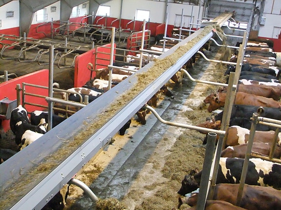 Bilde 6 av 6 i jobbannonse-galleriet