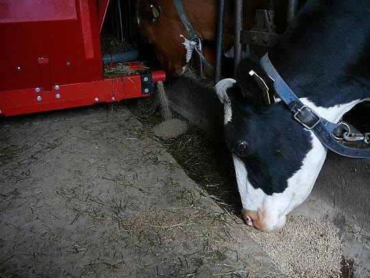 Bilde 5 av 6 i jobbannonse-galleriet