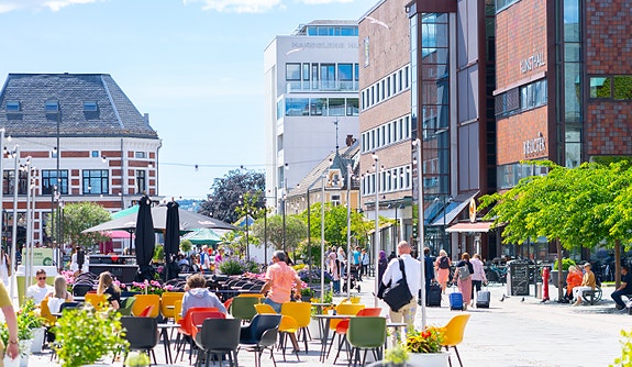 Bilde 1 av 1 i jobbannonse-galleriet