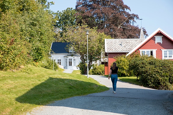 Bilde 1 av 5 i jobbannonse-galleriet