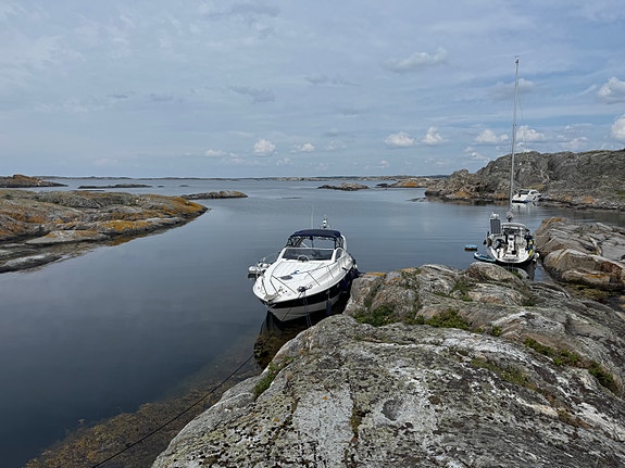 Fairline Targa 37 - høstpris 7 of 30