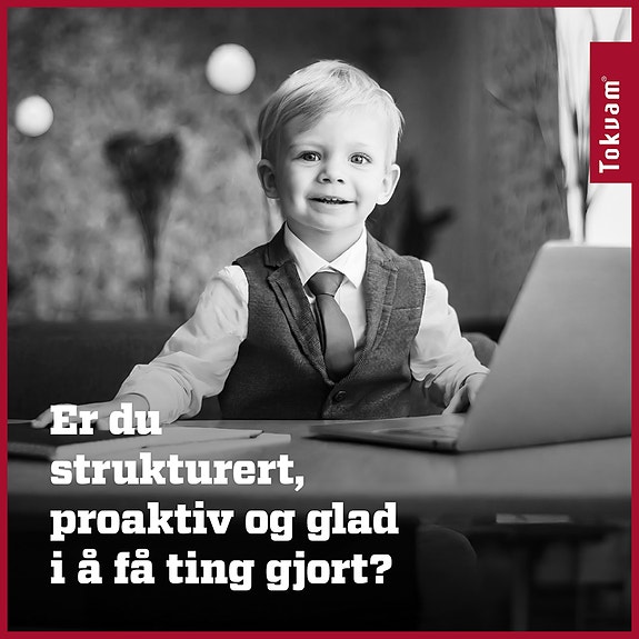 Bilde 1 av 1 i jobbannonse-galleriet