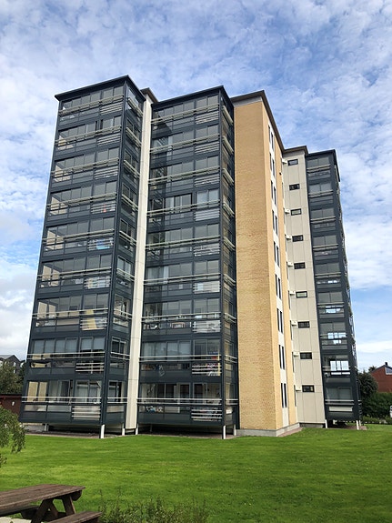 Bilde 2 av 3 i jobbannonse-galleriet